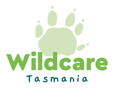 Wildcare Incorporated