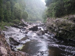 Gaylard's Rapid - Franklin River