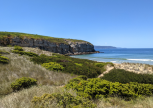 View of Cape Deslacs from Clifton Beach