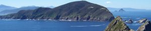 Maatsuyker Island and Needle Rocks (photo Steve Cronin)