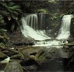 Horseshoe Falls Mt Field