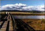 Tamar Island Boardwalk