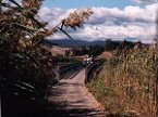 Tamar Island Boardwalk