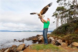 Raptor Release