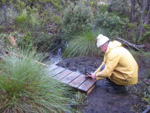 Greg building boardwalk bridge over bog.on track to Lake Seal