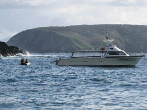 Arriving Maatsuyker Island