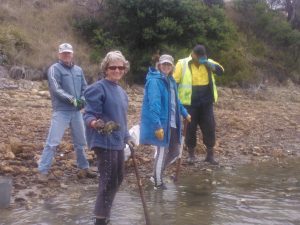 Pipe Clay Lagoon Feral Oyster Clean-Up