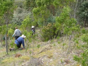 Starting the Kalang site work  Alson, Kate  and Kevin