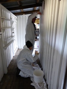 WCMV Freshening up the paint work in historic Mt Kate hut