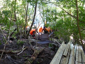 WCMV Wildcare volunteers & PWS field staff made a great team working on the replacement of the Dove Lake board walk