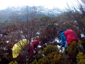 Track Pruning, Hounslow Heath