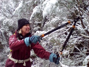 Track Pruning, Weindorfers Forest