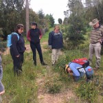 2016_11_12 Cheltenham wildflower walk