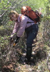 Track Pruning, Hounslow Heath