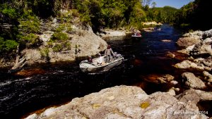 Dennison River wilderness