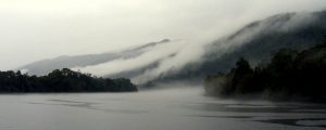 Gordon River Mist