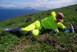 Shearwater monitoring on Maatsuyker Island (Photo G. Hedley)