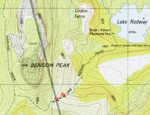 Section of Lake Rodway Track still to be pruned