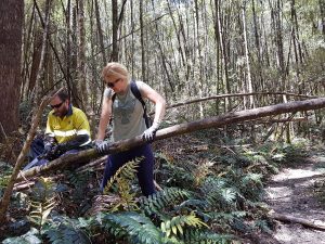 Jamie & Donna hard at work on the Mt Farrell Track (SS)