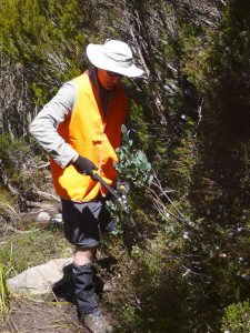 Dav on the shears, Lake Rodway track (GH)