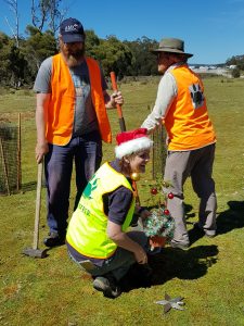 Phil, Brittany & Marilyn with the King Billy Christmas tree (SS)