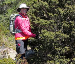 Christine at work at Twisted Lakes (JT)