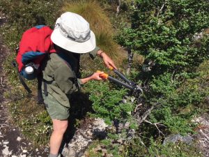 Max is too busy to stop... Twisted Lakes (KT)