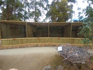 RaptorRefugeAviaries20180217_113506