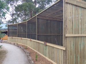 RaptorRefugeAviaries20180217_113525