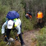 Shadow Lake Track pruning