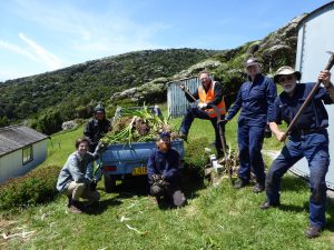 Friends of Maatsuyker Island Weed Working Bee, 2018 (Photo Marina Campbell)