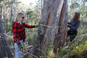 Friends of Devonport Reserves