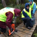 Wokring on Scott kilvert Boardwalk-Cradle Mountain