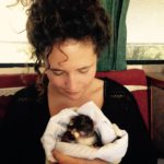 Caring for orphaned and injured wildlife