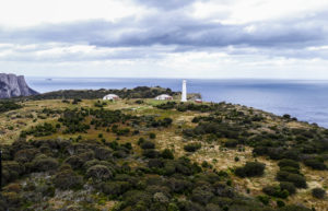 Aerial view Tasman Island & lighthouse