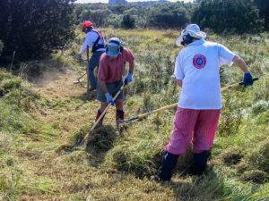 FoTI volunteers Tasman Island, 2006