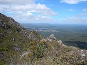 View near the summit