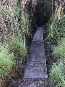 Repaired boardwalk