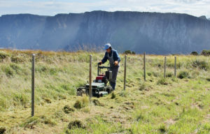 Mowing a firebreak