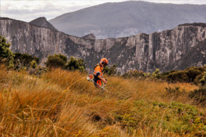 Mowing & brushcutting are one of the main tasks e