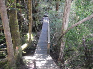 Bridge over small creek 1