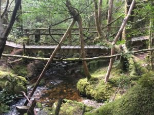 Bridge over small creek 2