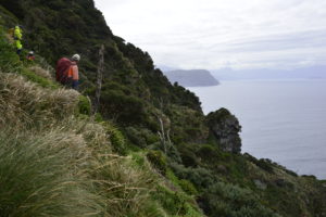 Weed Survey East Maatsuyker (Photo G Miller)