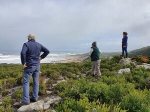 We visit some spectacular places on the surveys, like Pulpit Rock at Trial Harbour.