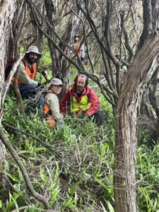 Weed team Maatsuyker Island, March 2022 (Photo Marina Campbell)