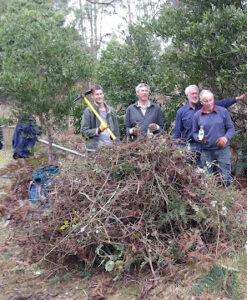 Blackberry removed from the banks of the Tyenna River, and some of the removers - Ross, Stephen, Howard and Greg