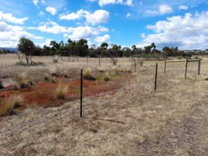 Friends of Pitt Water Orielton Lagoon/Sorell Council - Penna Beach Foreshore Project