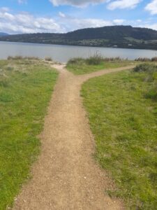 Friends of Pitt Water Orielton Lagoon/Sorell Council - Penna Beach Foreshore Project