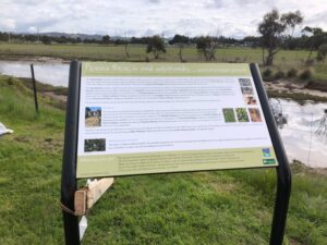 Friends of Pitt Water Orielton Lagoon/Sorell Council - Penna Beach Foreshore Project