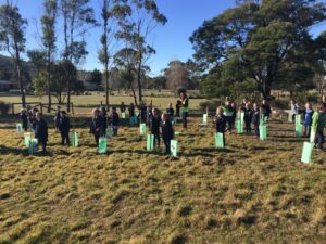 First Bandicoot Bunker planting in 2017